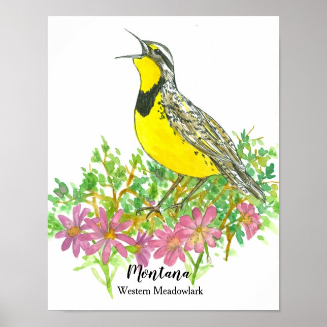 State Bird of Montana Meadowlark Bitterroot Flower Poster (Front)