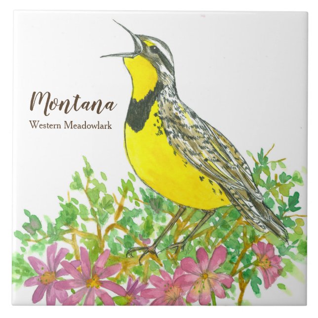 State Bird of Montana Meadowlark Songbird Ceramic Tile (Front)