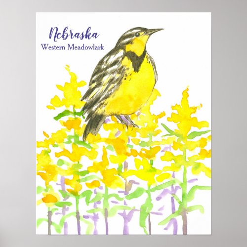 State Bird of Nebraska Western Meadowlark Poster