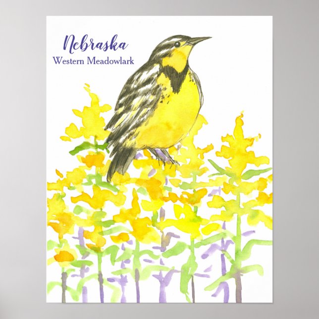 State Bird of Nebraska Western Meadowlark Poster (Front)