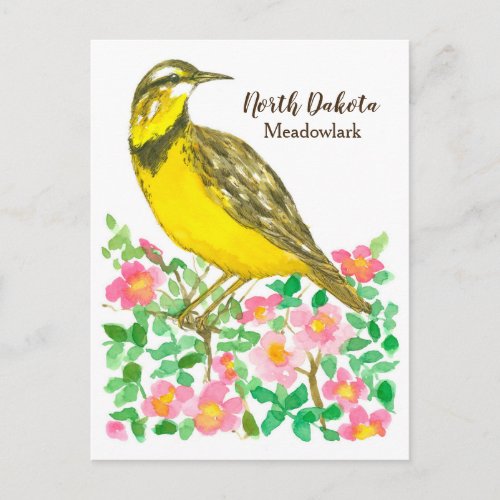 State Bird of North Dakota Meadowlark Roses Postcard