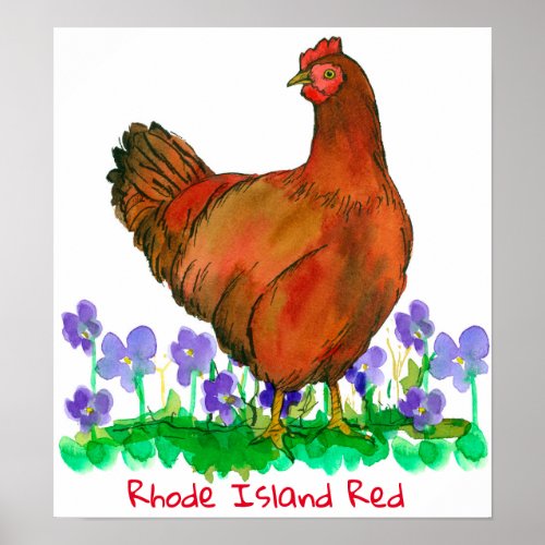 State Bird of Rhode Island Red Hen Chicken Violets Poster
