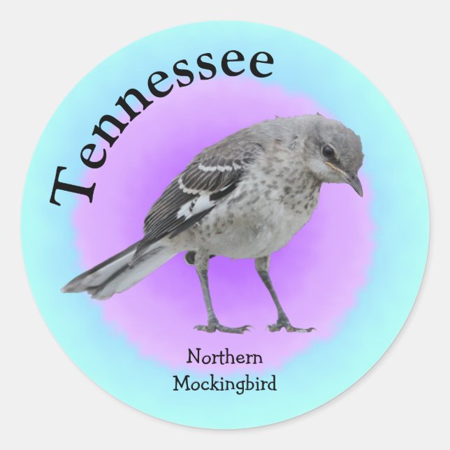 State Bird of Tennessee Classic Round Sticker (Front)