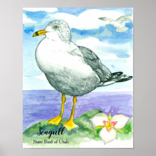 State Bird of Utah Seagull Watercolor Poster