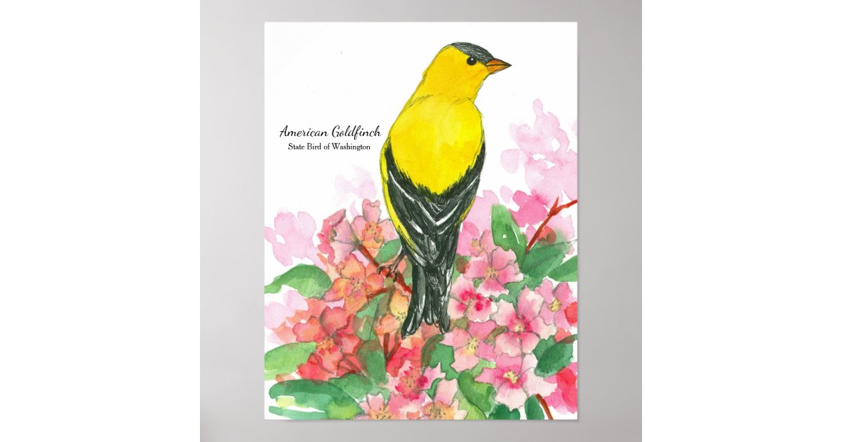 State Bird of Washington American Goldfinch Yellow Poster | Zazzle