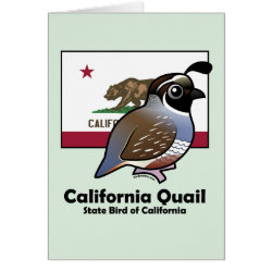 State Birdorable of California: California Quail Greeting Card