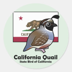 State Birdorable of California: California Quail Round Sticker