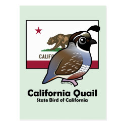State Birdorable of California: California Quail Postcard