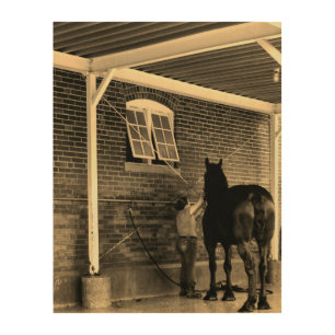 State Fair Bathtime Wood Wall Art