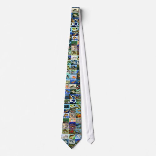 STATE_FISH ART CONTEST TIE2 TIE