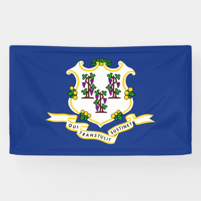 State Flag of Connecticut Banner (Horizontal)