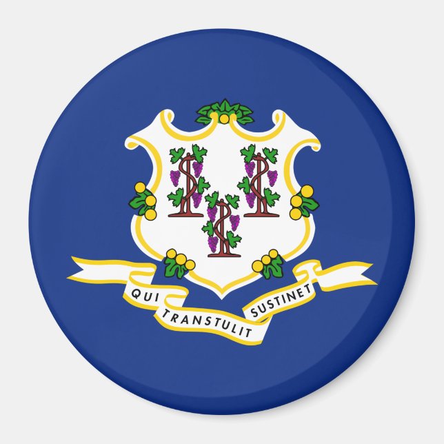 State Flag of Connecticut Magnet (Front)