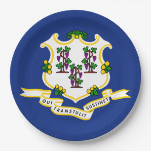 State Flag of Connecticut Paper Plates