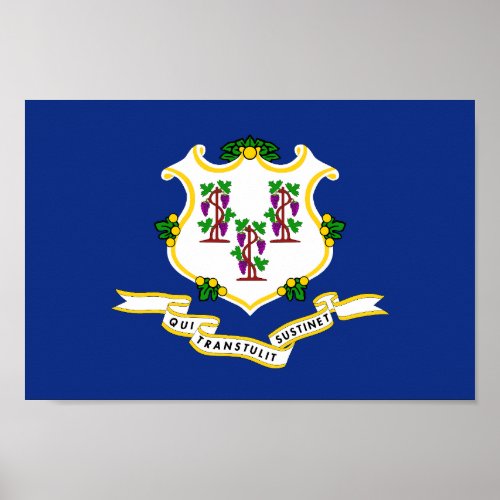 State flag of Connecticut Poster