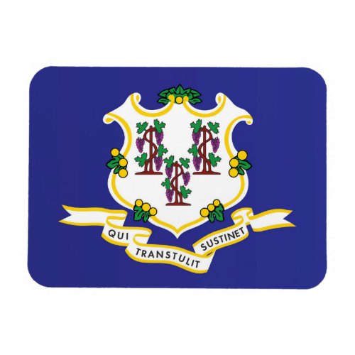 State Flag of Connecticut USA Magnet