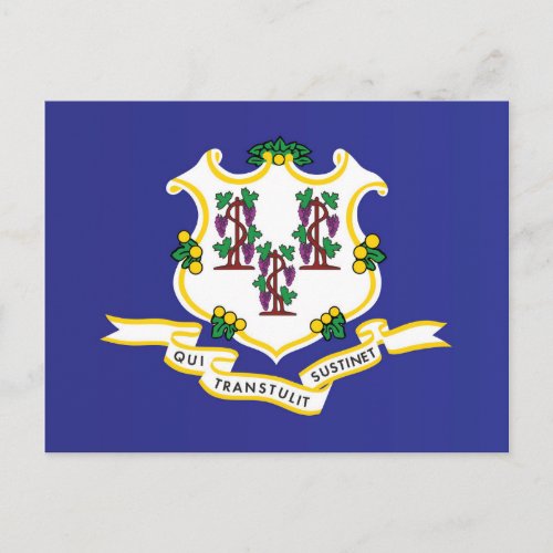 State Flag of Connecticut USA Postcard