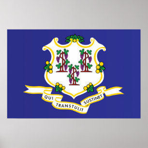 State Flag of Connecticut, USA Poster