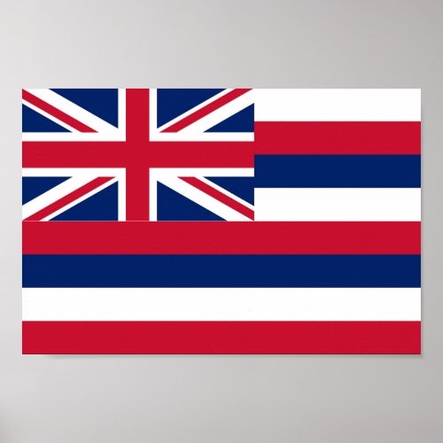 State flag of Hawaii Poster