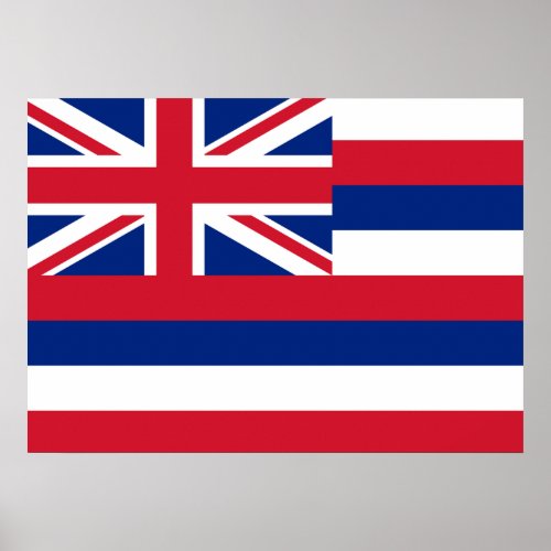 State Flag of Hawaii Poster
