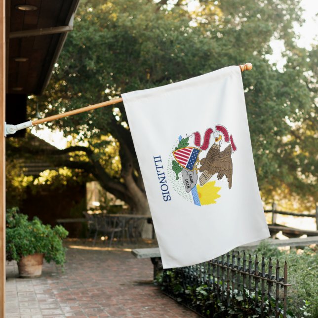 State Flag of Illinois (In SItu)