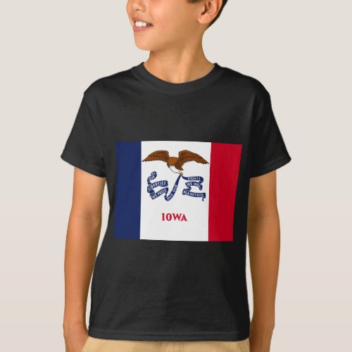 State Flag of Iowa T_Shirt