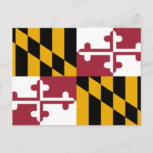 State Flag of Maryland Postcard