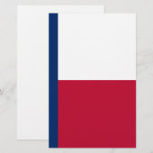 State Flag of Texas (Front/Back)