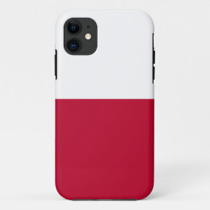 State Flag of Texas iPhone 11 Case