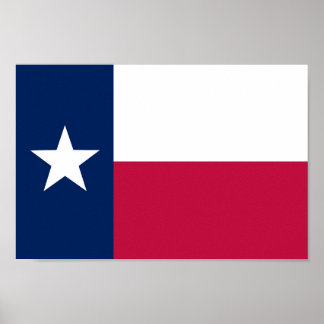 State flag of Texas Poster