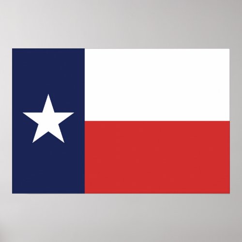 State Flag of Texas USA Poster