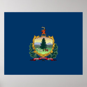 State Flag of Vermont Poster