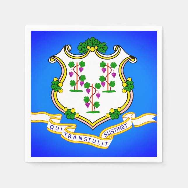 State Flage of Connecticut Paper Party Napkins  (Front)