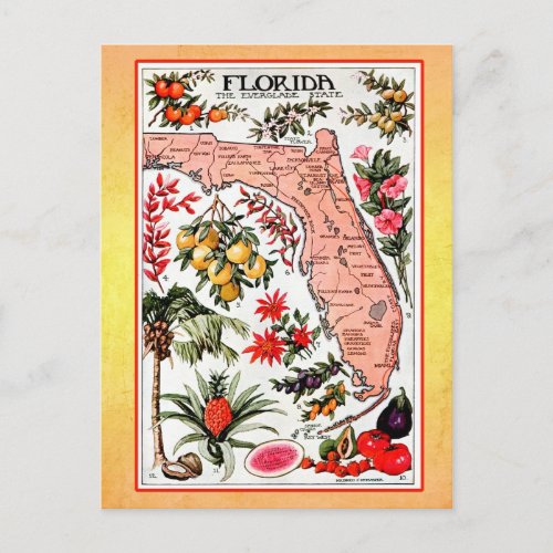 State Map of Florida vintage reprint Postcard