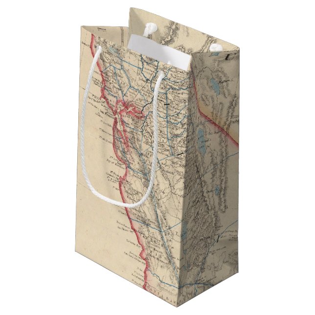 State of California Small Gift Bag (Back Angled)