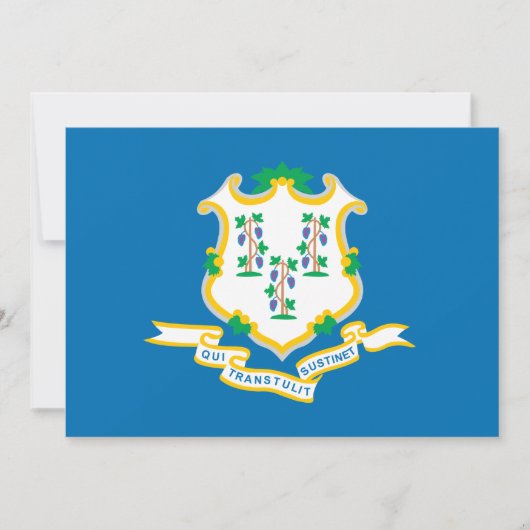 State of Connecticut flag (Front)