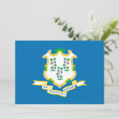 State of Connecticut flag (Standing Front)