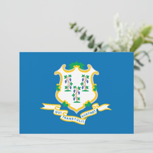 State of Connecticut flag (Standing Front)