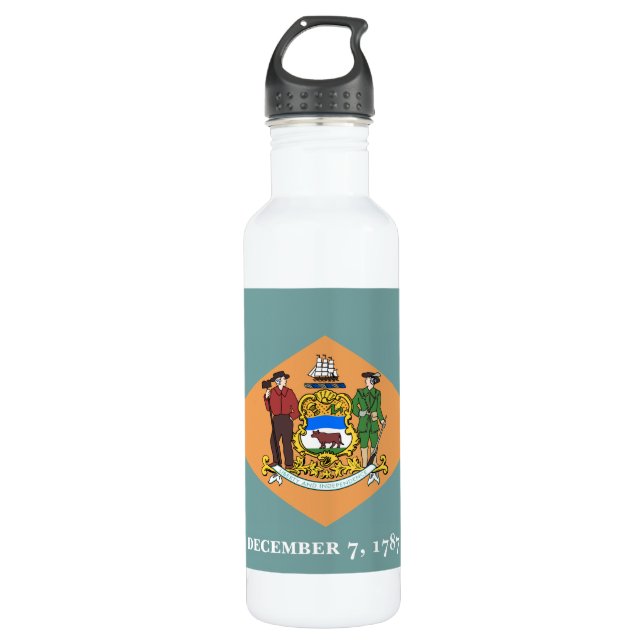 State of Delaware Flag Stainless Steel Water Bottle (Front)