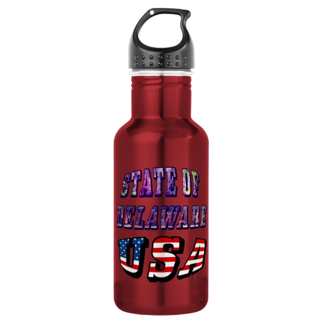 State of Delaware USA Photo & Flag Text Stainless Steel Water Bottle (Front)