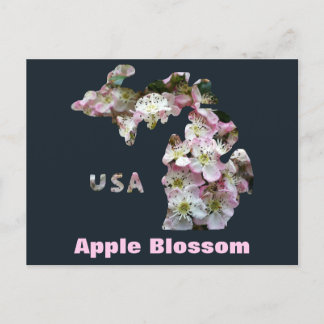 State of Michigan and Apple Blossoms Postcard
