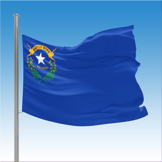 State of Nevada House Flag (State of Nevada House Flag)