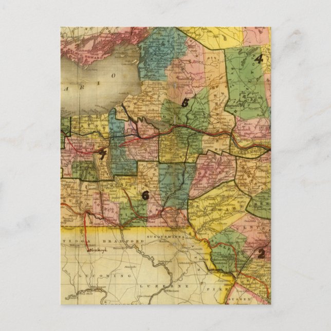 State of New York by DH Burr Postcard (Front)