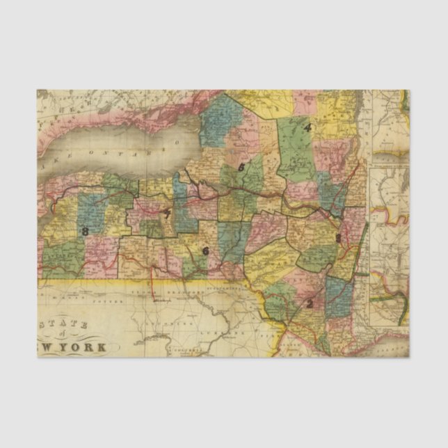 State of New York by DH Burr Tissue Paper (Front)