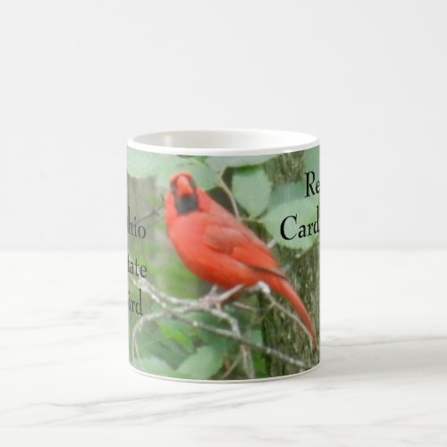 STATE OF OHIO BIRD RED CARDINAL MAGIC MUG