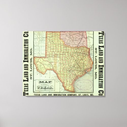 State of Texas Canvas Print