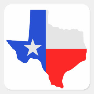 State of Texas Lone Star Square Sticker
