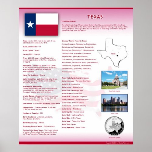 State of TexasTX Posters