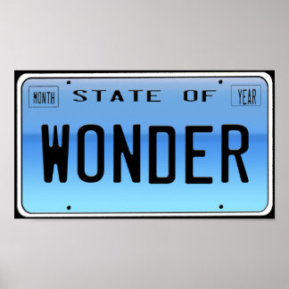 State of Wonder Poster