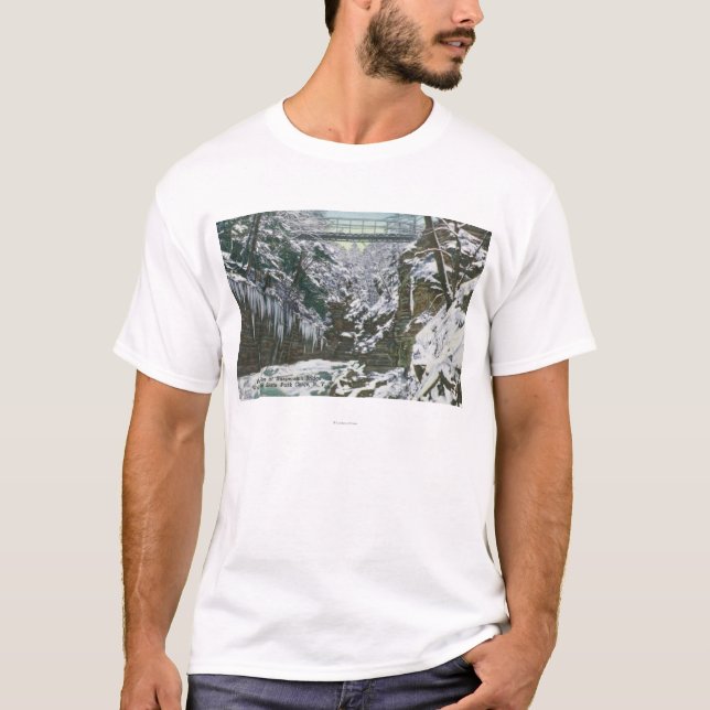 State Park Gorge Suspension Bridge View in T-Shirt (Front)