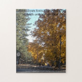 State Street in the Fall Jigsaw Puzzle